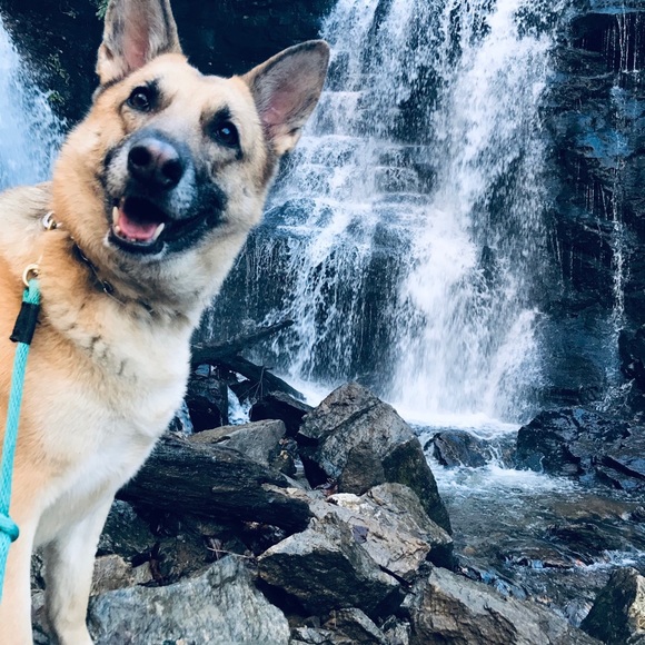 Meet your fellow posher! - Picture 8 of 15